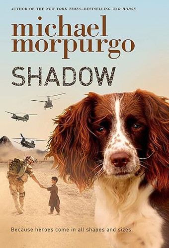 Shadow (Paperback)