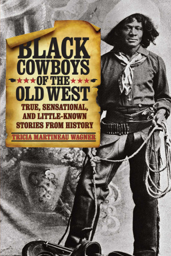 Black Cowboys of the Old West: True, Sensational, And Little-Known Stories From History book cover by Tricia Martineau Wagner