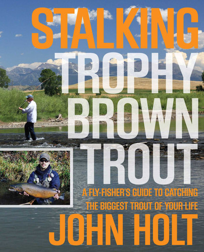 Stalking Trophy Brown Trout: A Fly-Fisher's Guide To Catching The Biggest Trout Of Your Life book cover by John Holt