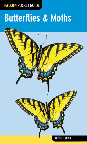 Butterflies & Moths (Falcon Pocket Guides) book cover by Todd Telander