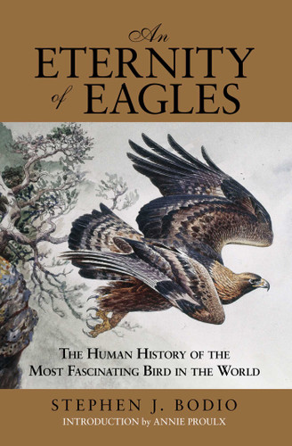 Eternity of Eagles: The Human History Of The Most Fascinating Bird In The World book cover by Stephen J. Bodio