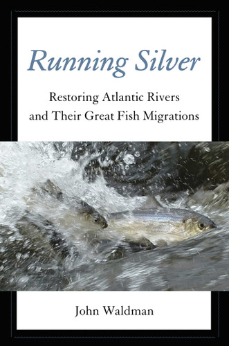 Running Silver: Restoring Atlantic Rivers And Their Great Fish Migrations book cover by John Waldman