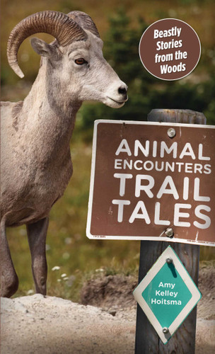 Animal Encounters Trail Tales: Beastly Stories From The Woods book cover by Amy Hoitsma