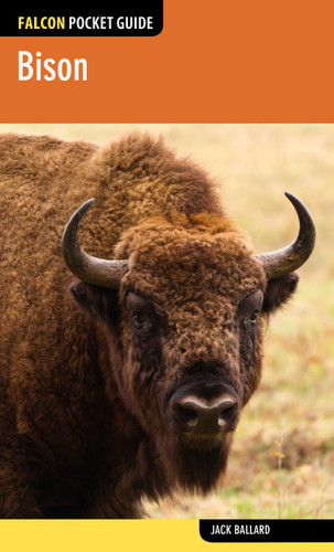 Bison (Falcon Pocket Guides) book cover by Jack Ballard