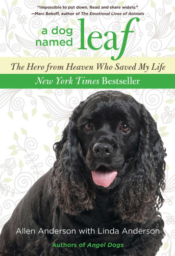 Dog Named Leaf: The Hero From Heaven Who Saved My Life book cover by Allen Anderson, Linda Anderson