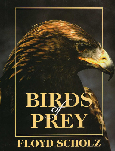 Birds of Prey book cover by Floyd Scholz