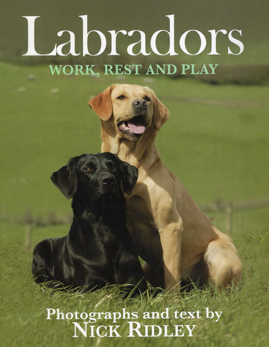 Labradors book cover by Nick Ridley