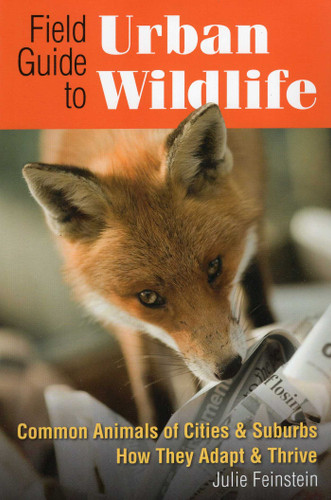 Field Guide to Urban Wildlife book cover by Julie Feinstein