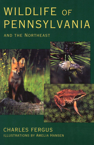 Wildlife of Pennsylvania book cover by Charles Fergus, Amelia Hansen