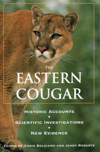 Eastern Cougar book cover by 