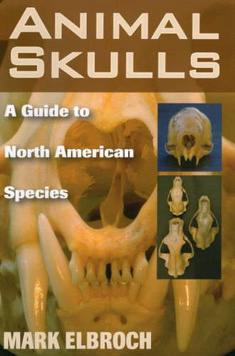 Animal Skulls book cover by Mark Elbroch