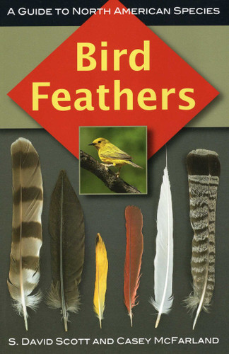 Bird Feathers book cover by S. David Scott, Casey McFarland