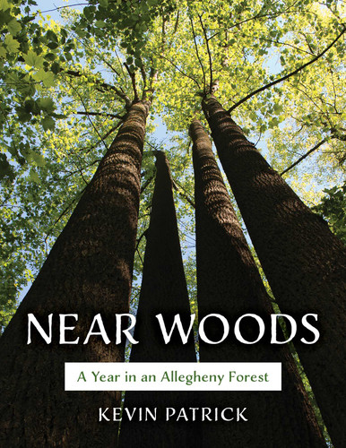 Near Woods: A Year in an Allegheny Forest book cover by Kevin Patrick
