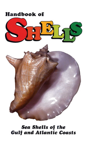 Handbook of Shells: Sea Shells of the Gulf and Atlantic Coasts book cover by Lula Siekman
