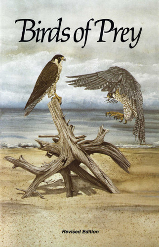 Birds of Prey book cover by Ray Ovington