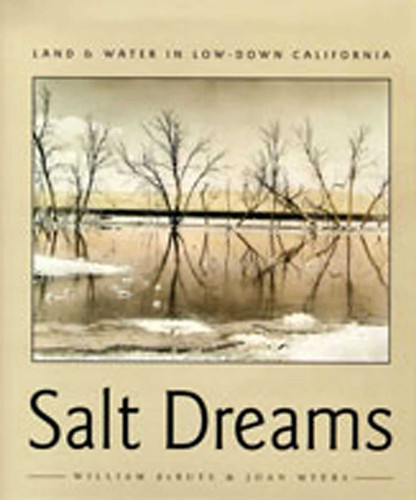 Salt Dreams: Land and Water in Low-Down California book cover by William deBuys