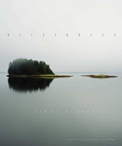 Wilderness book cover by Debra Bloomfield