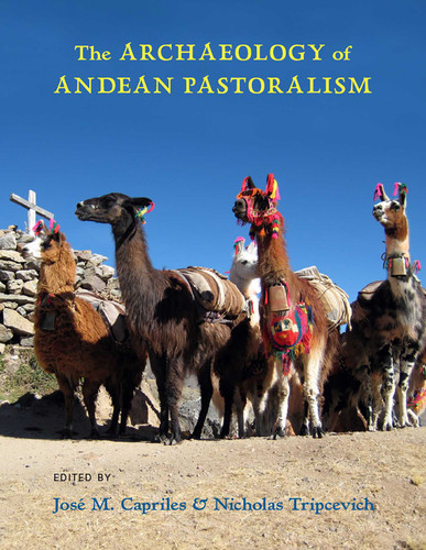The Archaeology of Andean Pastoralism book cover by 