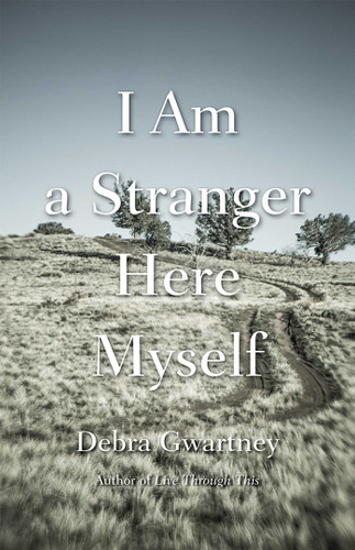 I Am a Stranger Here Myself (River Teeth Literary Nonfiction Prize Series) book cover by Debra Gwartney