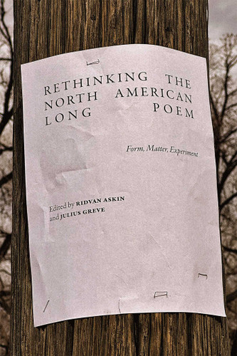 Rethinking the North American Long Poem: Form, Matter, Experiment (Recencies Series: Research and Recovery in Twentieth-Century American Poetics) book cover by 