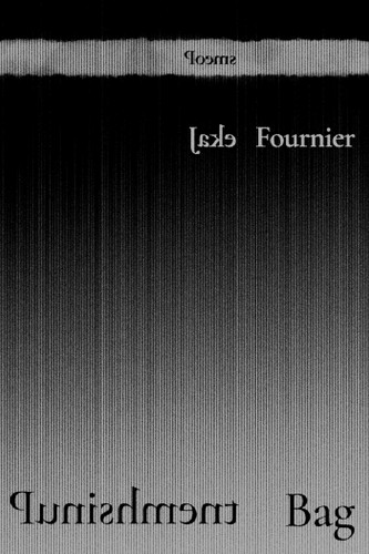 Punishment Bag: Poems (Mary Burritt Christiansen Poetry Series) book cover by Jake Fournier