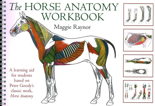 Horse Anatomy Workbook: A Learning Aid for Students Based on Peter Goody's Classic Work, Horse Anatomy book cover by Maggie Raynor