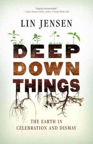 Deep Down Things: The Earth in Celebration and Dismay book cover by Lin Jensen
