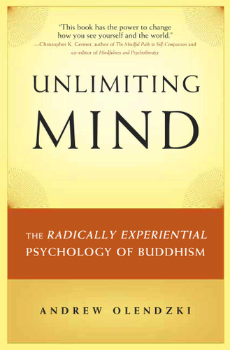 Unlimiting Mind: The Radically Experiential Psychology of Buddhism book cover by Andrew Olendzki