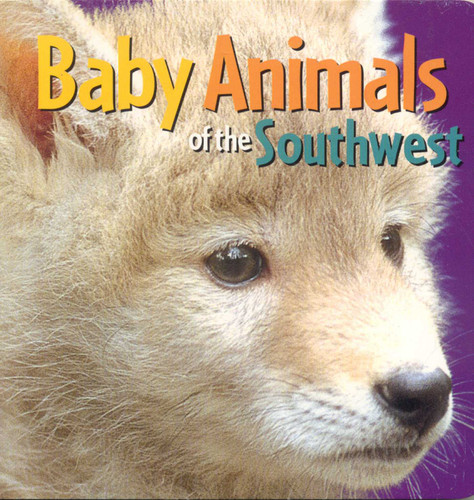 Baby Animals of the Southwest book cover by 