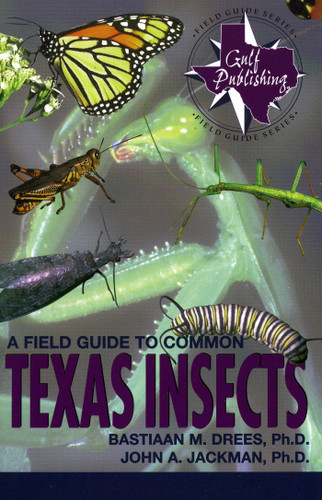 A Field Guide to Common Texas Insects book cover by Bastiaan M. Drees, John A. Jackman