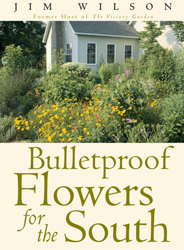 Bulletproof Flowers for the South book cover by Jim Wilson
