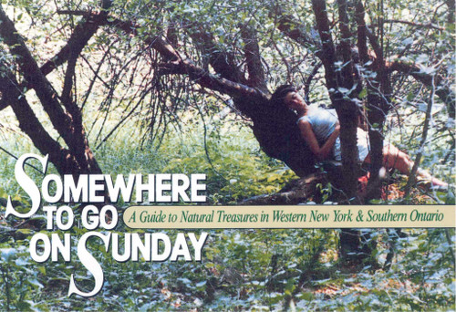 Somewhere to Go on Sunday book cover by Margaret Wooster