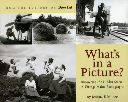 What's in a Picture?: Broiler Queens, Floating House and Other Hidden Stories in Vintage Maine Photography book cover by Joshua F. Moore