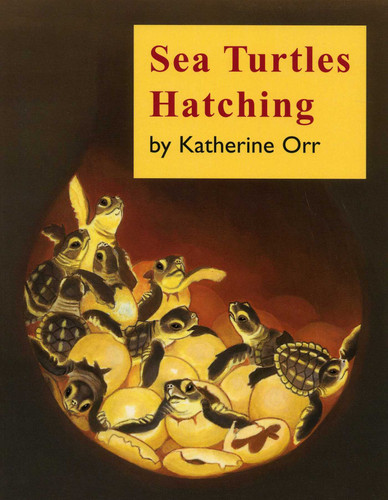 Sea Turtles Hatching book cover by Katherine Orr