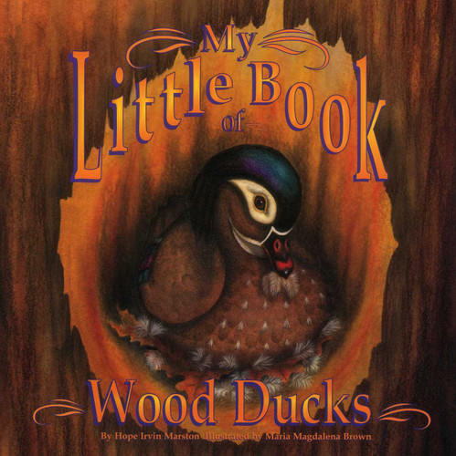 My Little Book of Wood Ducks (My Little Book Series) book cover by Hope Irvin Marston