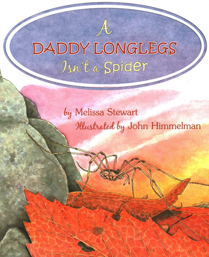Daddy Longlegs Isn't a Spider book cover by Melissa Stewart