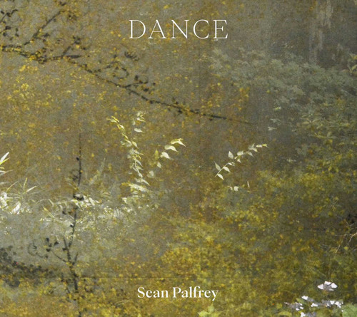 Dance book cover by Sean Palfrey