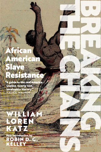 Breaking the Chains: African American Slave Resistance book cover by William Loren Katz