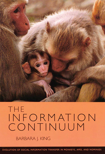 The Information Continuum: Evolution of Social Information Transfer in Monkeys, Apes, and Hominids (A School for Advanced Research Resident Scholar Book) book cover by Barbara J. King