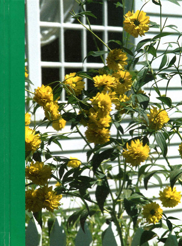 Window Breeze Book Of Days book cover by 