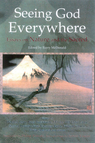 Seeing God Everywhere: Essays on Nature and the Sacred book cover by 