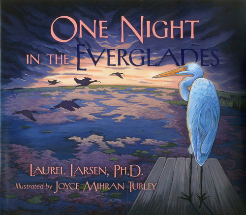 One Night in the Everglades book cover by Laurel Larsen