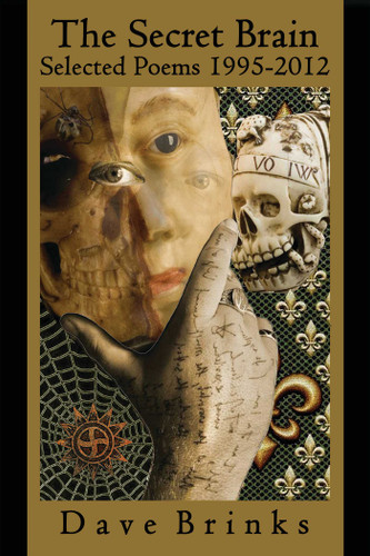 The Secret Brain: Selected Poems 1995-2012 book cover by Dave Brinks