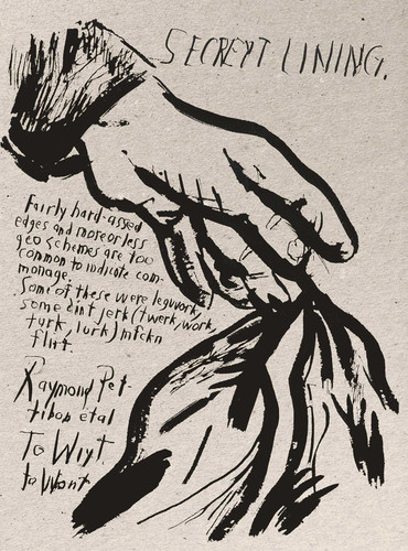 Raymond Pettibon: To Wit book cover by Raymond Pettibon
