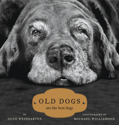 Old Dogs: Are the Best Dogs book cover by Gene Weingarten