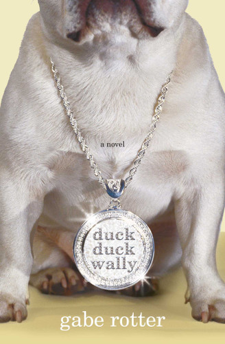 Duck Duck Wally: A Novel book cover by Gabe Rotter