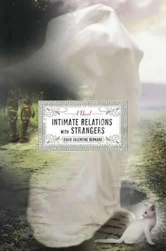 Intimate Relations with Strangers: A Novel book cover by David Valentine Bernard