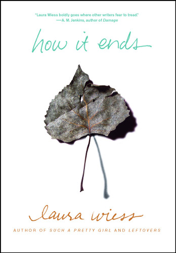 How It Ends book cover by Laura Wiess