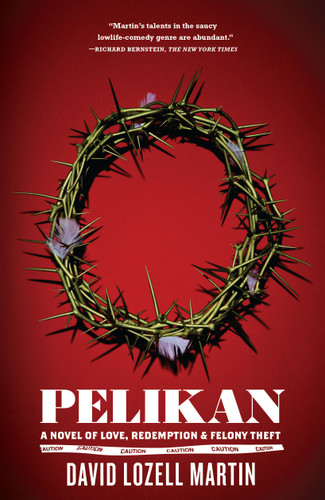 Pelikan: A Novel book cover by David Lozell Martin