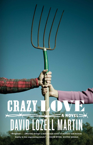 Crazy Love: A Novel book cover by David Lozell Martin
